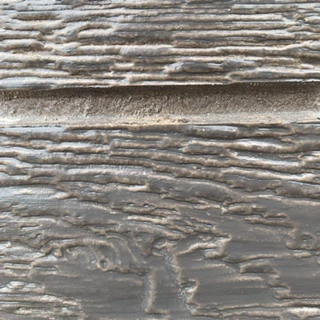 Driftwood